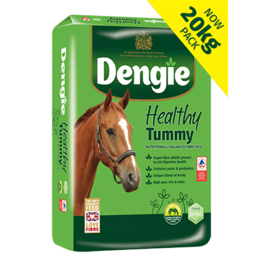 Dengie Healthy Tummy 20kg