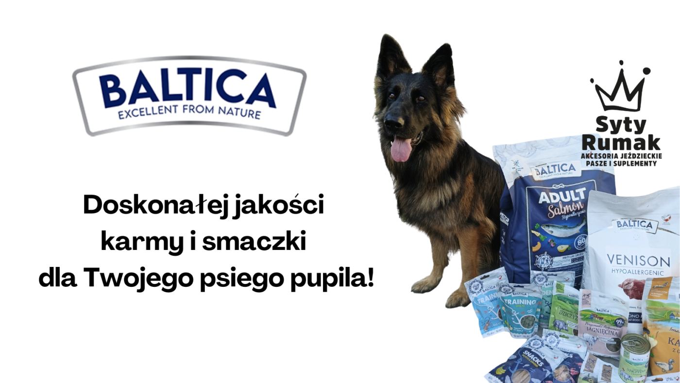 sytyrumak.pl