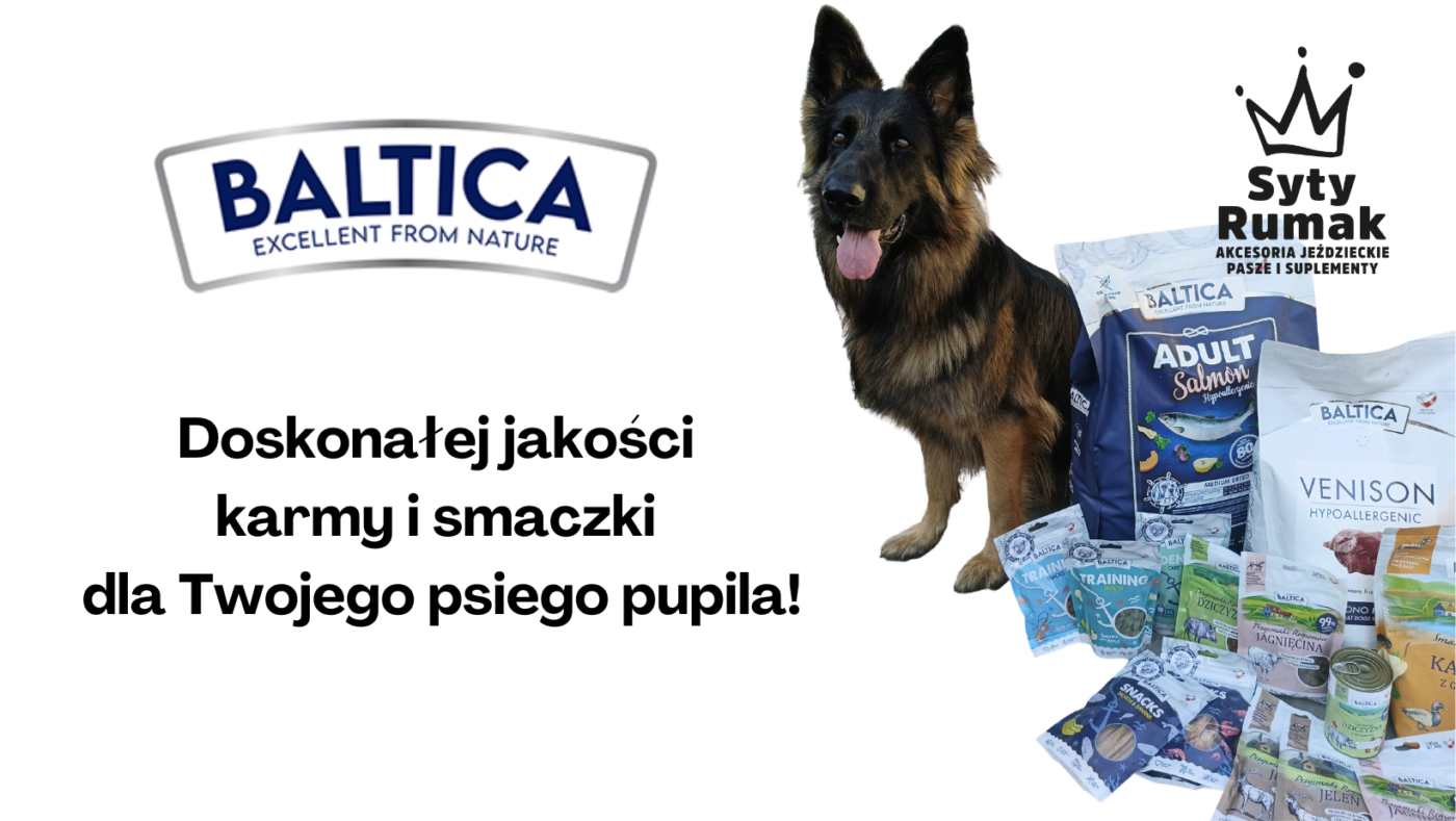 sytyrumak.pl