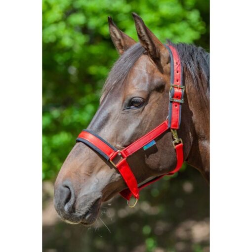 Bucas Comfort Halter - czerwony - FULL/XFULL