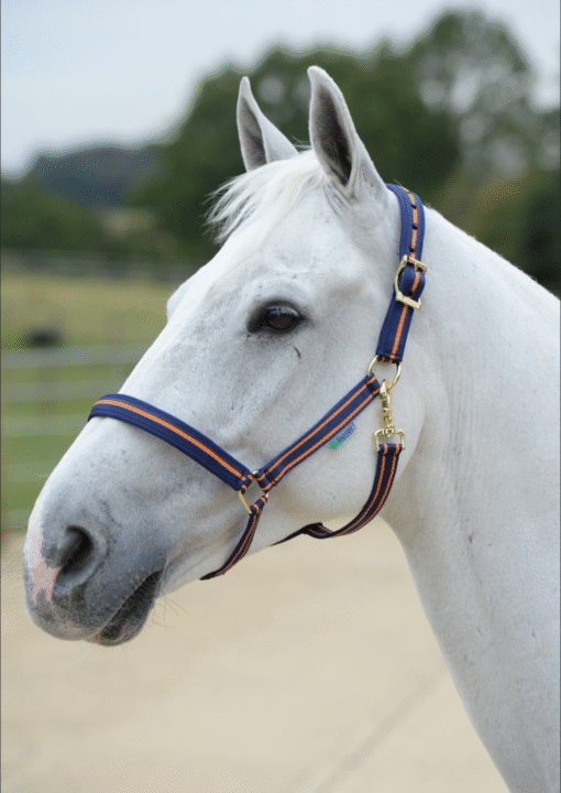 Bucas Dublin Halter - granatowo-pomarańczowy - FULL - obrazek 2