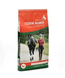 Saracen Essential Balancer 20 kg